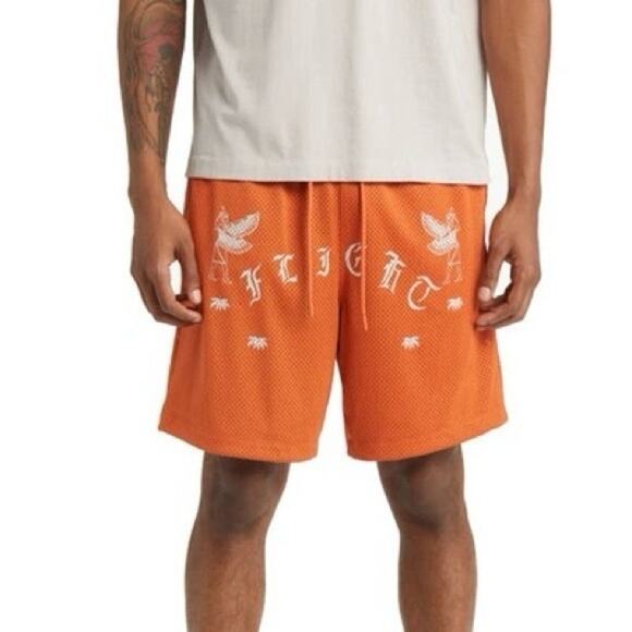 NWOT JORDAN Shorts M Flight Artist Series Umar Rashid Graphic Egyptian - Picture 1 of 6